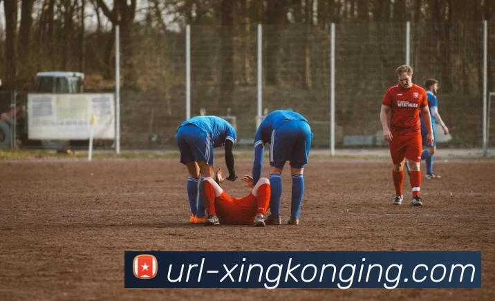 App Interface Preview