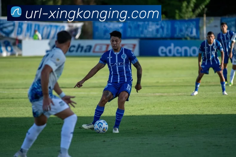 星空体育APP 封面图