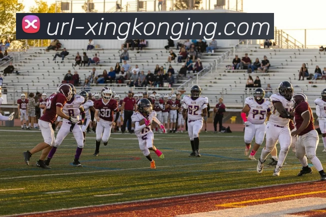 数据防护可视化